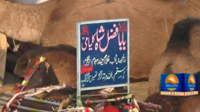 Kalyam Sharif Baba Fazal Shah Kalyami Documentary on camels which came on Shrine смотреть онлайн