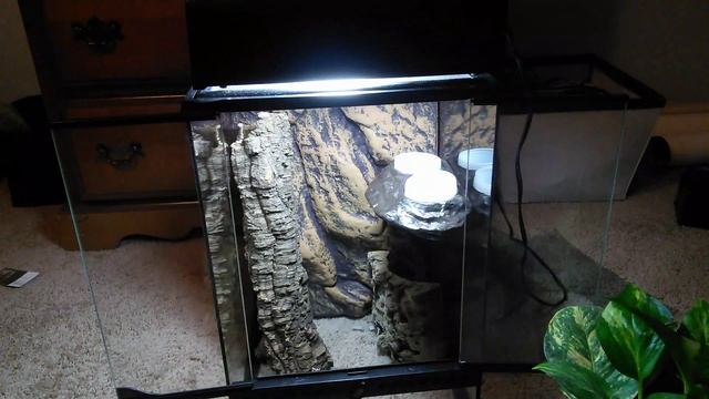 Vivarium Preview смотреть онлайн