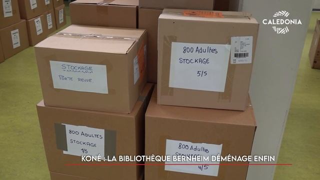 Koné : La bibliothèque Bernheim déménage enfin смотреть онлайн