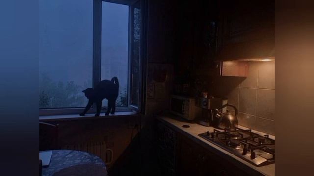 Оксана Почепа (Акула) - Утро без тебя (slowed + reverb) смотреть онлайн