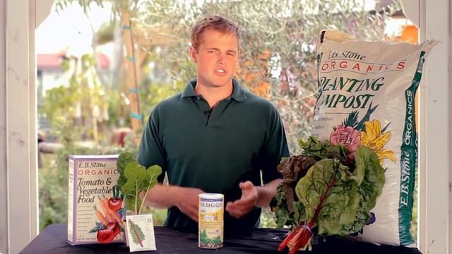 How To Plant Chard - Armstrong Garden Centers смотреть онлайн