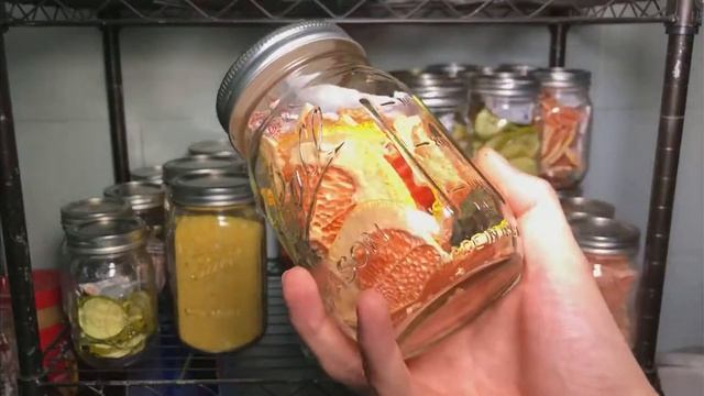 How to Freeze Dry #10 Grapefruit смотреть онлайн