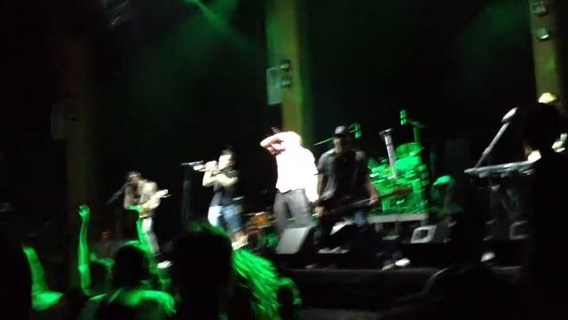 Элизиум Острова СПб live смотреть онлайн