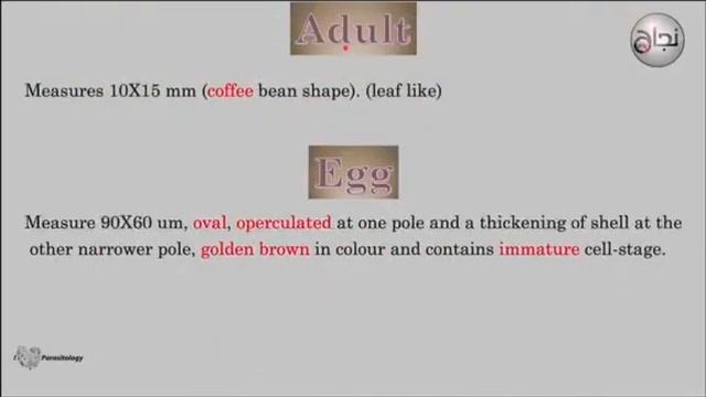 lung fluke & house dust mites ,Para Pract смотреть онлайн