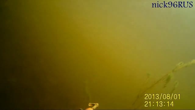 Подводная охота 1.08.3013.