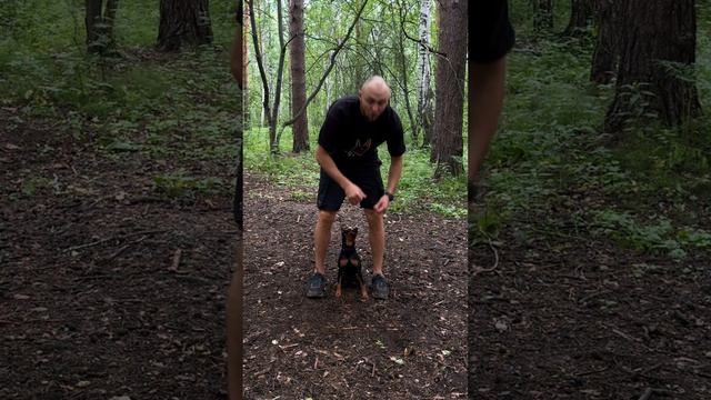 команда - Центр смотреть онлайн