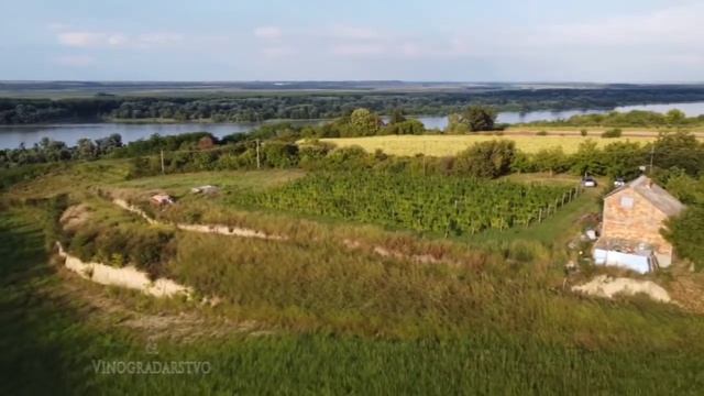 Vinarija Stojanović Vino i vinogradarstvo смотреть онлайн