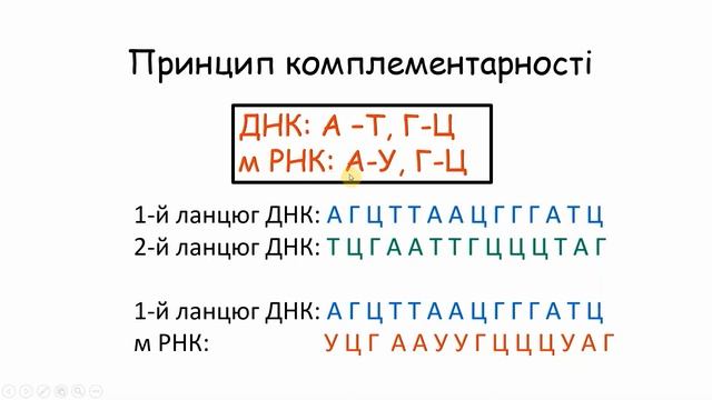 Нуклеїнові кислоти смотреть онлайн