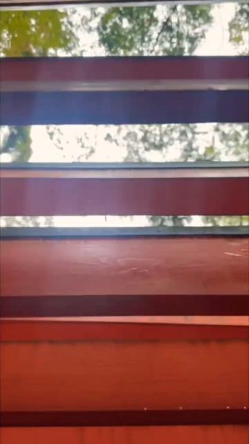 Venture into the fox Shrine.. 🦊 #japan смотреть онлайн