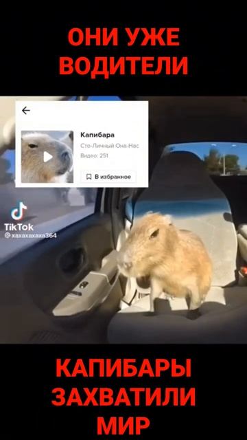 СПАСИТЕ ОТ НАШЕСТВИЯ КАПИБАР! смотреть онлайн