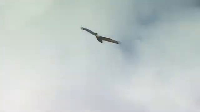 БЕСКОНЕЧНО ЛЮБИМАЯ РУСЬ смотреть онлайн