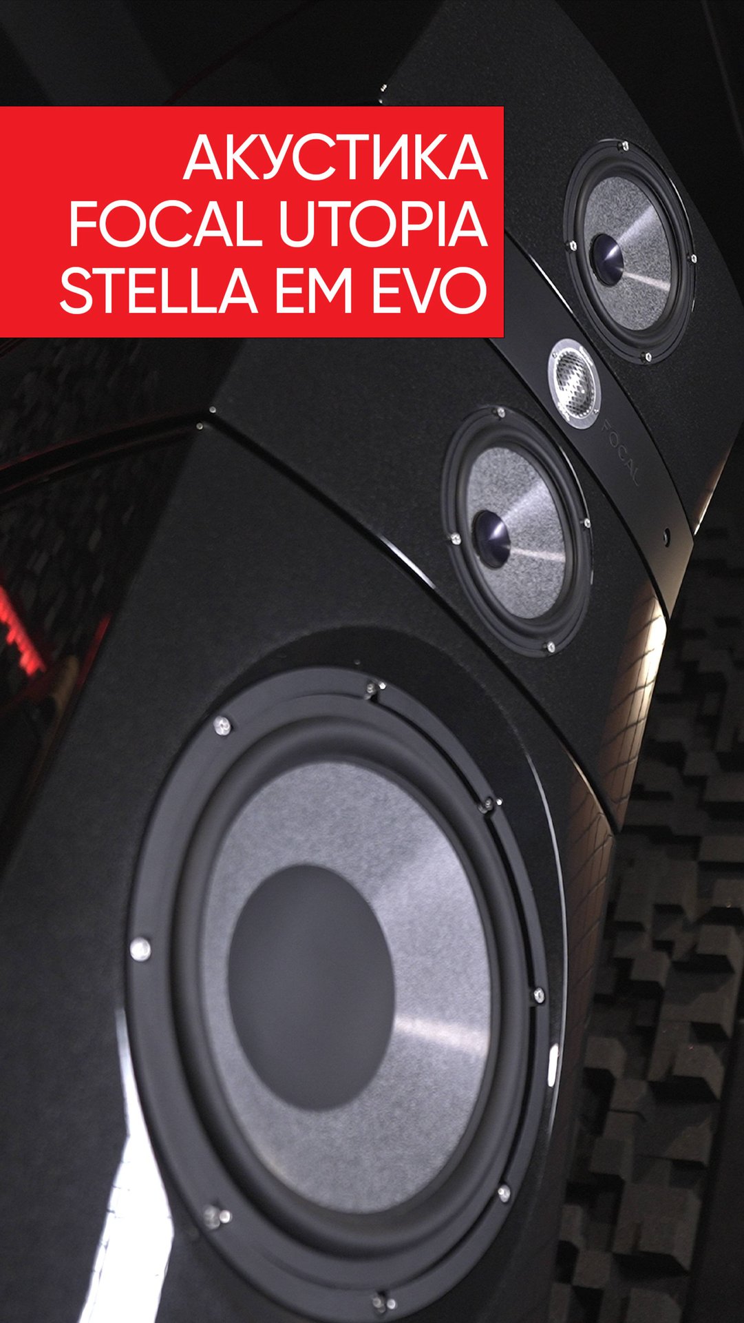 Focal Utopia Stella EM Evo смотреть онлайн