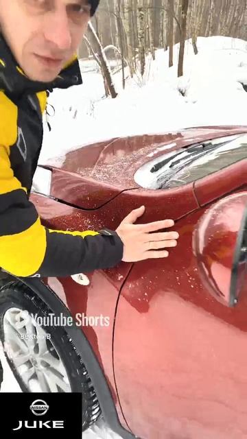 Nissan Juke. 22 из 50 #nissan  #juke #nissanjuke #ниссан #джук #авто #car