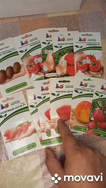 ОБЗОР СЕМЯН ТОМАТОВ ОТ ПАРТНЕР НА 2023Г. ОГОРОД НА КУБАНИ. shorts# смотреть онлайн