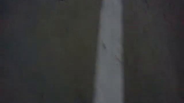 bouncing wolf spider смотреть онлайн