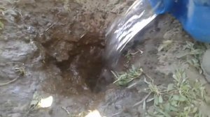 Охота на сусликов саршынак аулау