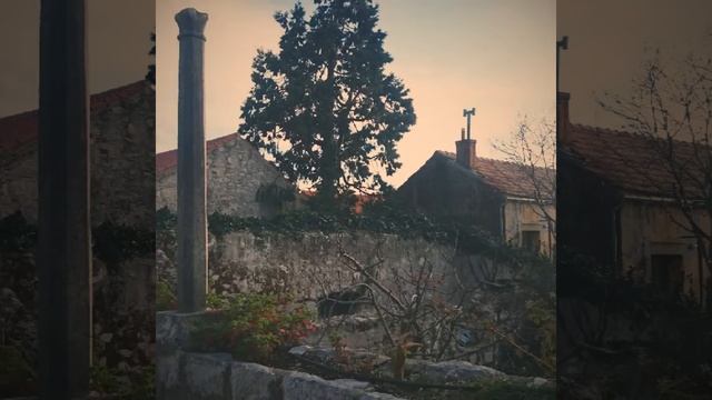 Dubrovnik,, Trsteno,, Kotor, Tirane, Ohrid смотреть онлайн