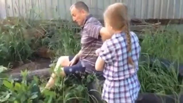 Шоу муравьёв. Июнь 2016 г. смотреть онлайн