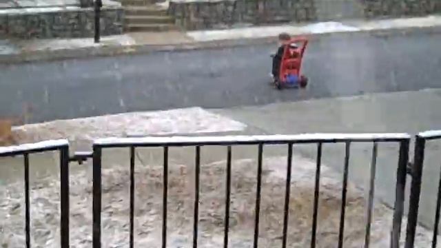 Snow Levi Lili Logan