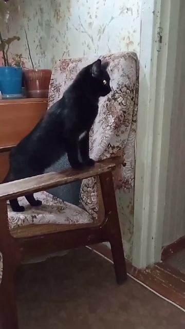 тарифы на ЖКХ всё повышают. смотреть онлайн