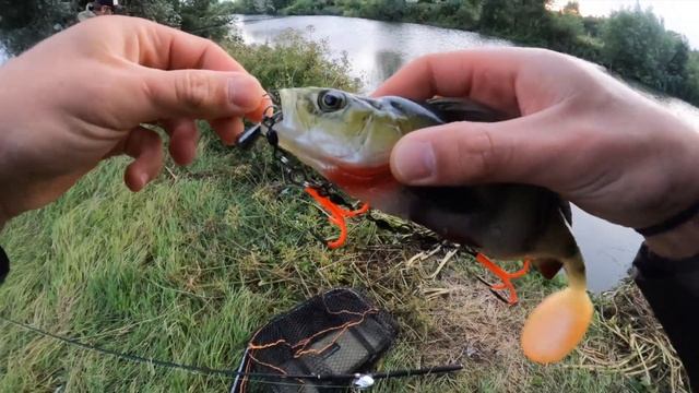 RIVER fishing for PIKE with BIG lures смотреть онлайн