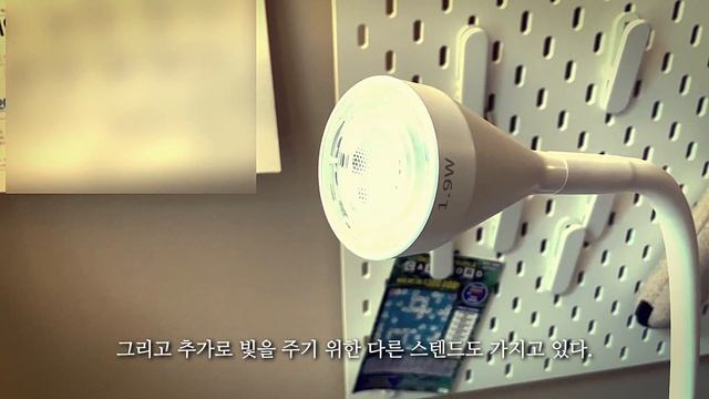 How to find your life purpose | Grow indoor plants | 인생 노잼 시기, 실내 식물 기르기와 치유 효과 | 미국 직장인 브이로그 (Eng) смотреть онлайн