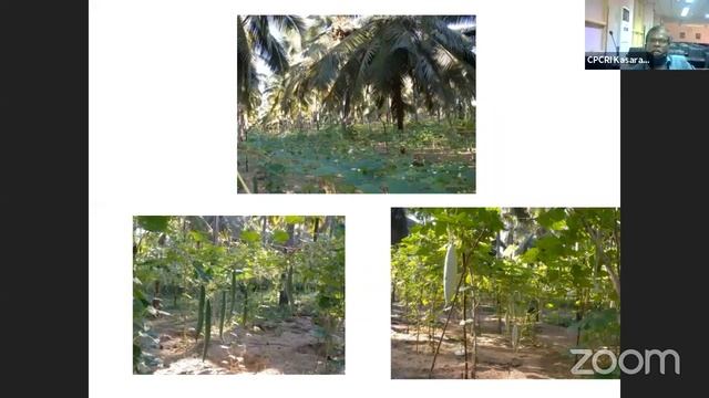 Kalpa Green Chat/Kalpa Graduate Readiness Programme смотреть онлайн