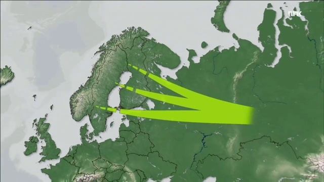 Vierspurv - Norges mest truede fugl смотреть онлайн
