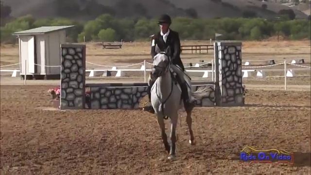 361S Attila Rajnai Open Beginner Novice Show Jumping Twin Rivers Ranch Sept 2013 смотреть онлайн