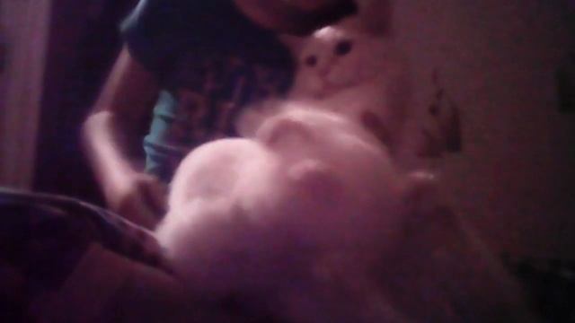 Мой кот не отдаёт мне мою игрушку! смотреть онлайн