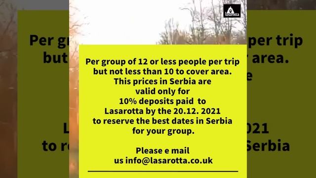 Black Friday Special Offer for Driven Wild Boar Shooting in Serbia🇷🇸 смотреть онлайн