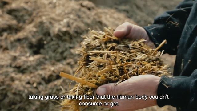 Farm Friday: Worms смотреть онлайн