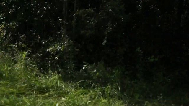 поворот смотреть онлайн