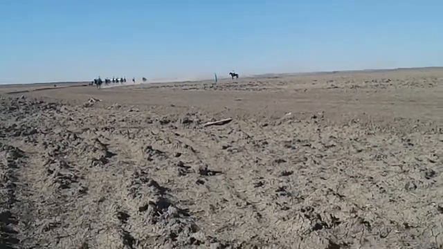Ат жарыс смотреть онлайн