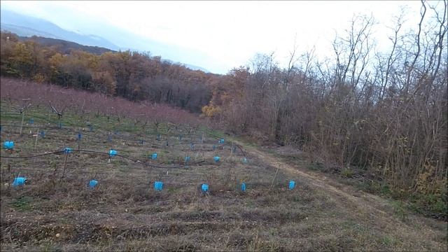 BROCARD 26KG GRAND BOIS 8 DECEMBRE 2018