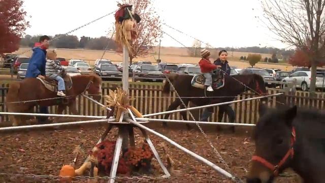 Pony Ride at Apple Orchard смотреть онлайн