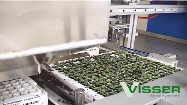 Visser Horti Systems - TIS-100 & TIFS-II - Beekenkamp