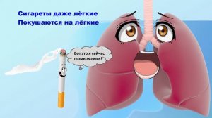 К Всемирному дню без табака