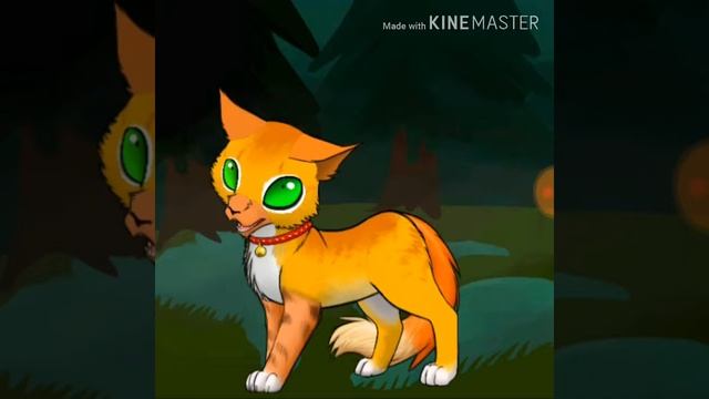 Сериальчик по книге: "Коты-Воители. Стань диким! " 1 часть смотреть онлайн