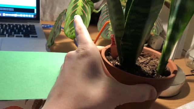 OSU ME 2900: Arduino Plant Care Assistant смотреть онлайн
