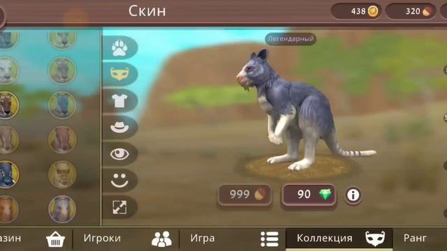 ~Прокачка кенгуру. @Miss_Day.