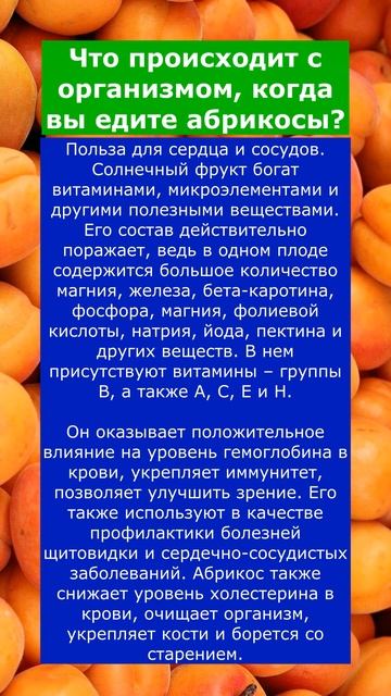 Абрикос Польза для сердца и сосудов смотреть онлайн