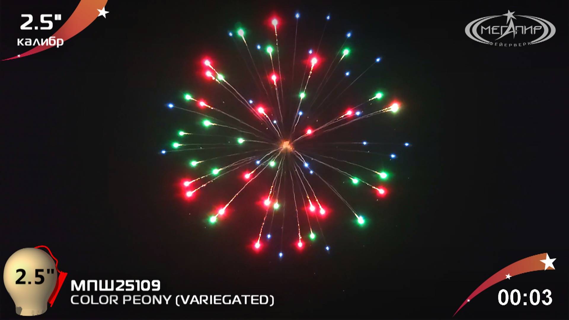 COLOR PEONY (VARIEGATED) МПШ25109 смотреть онлайн