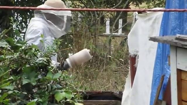 Beekeeper (2).AVI