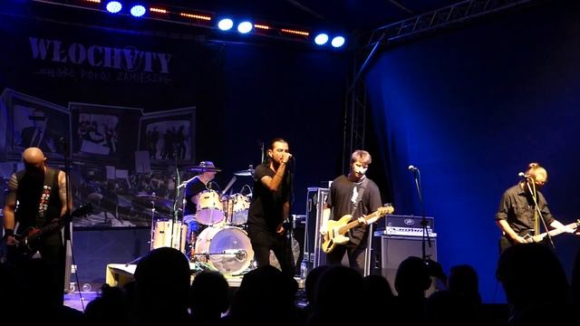 Włochaty - Live Punk Eko Fest 2023 смотреть онлайн