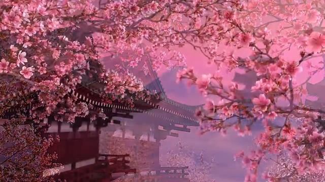 Blooming Sakura 3D Screensaver смотреть онлайн