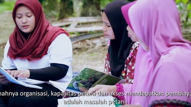 Improving palm oil smallholders’ productivity and sustainability смотреть онлайн