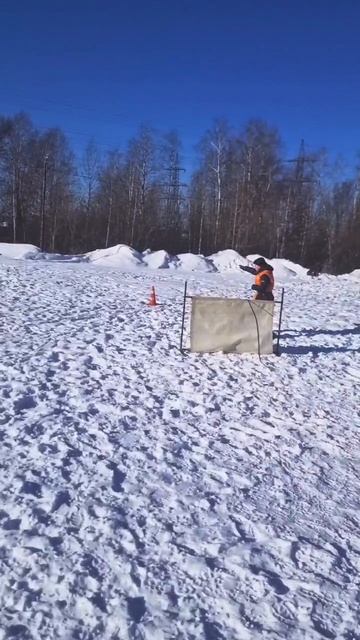 Дрессировка собак #собаки #собака