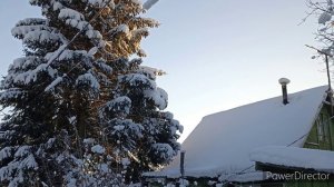 Пиратская жизнь Нина и Вовчик - глупо потеряла деньги