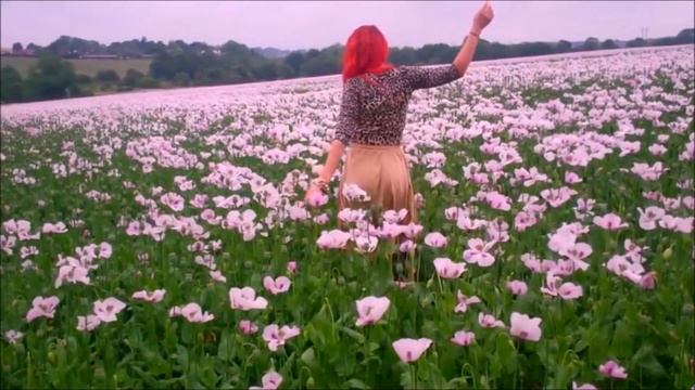 Neon Hitch - Video Promo Reel смотреть онлайн